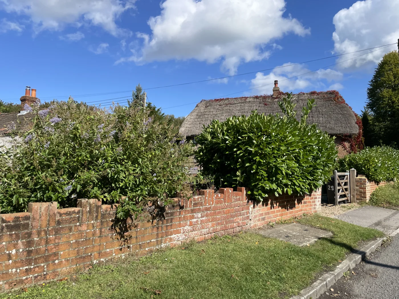 Thatched cottages on The Street, Old Basing. Old Basing and Lychpit charges one of the highest parish precepts in the borough, £88.98 at band D on top of the standard bill